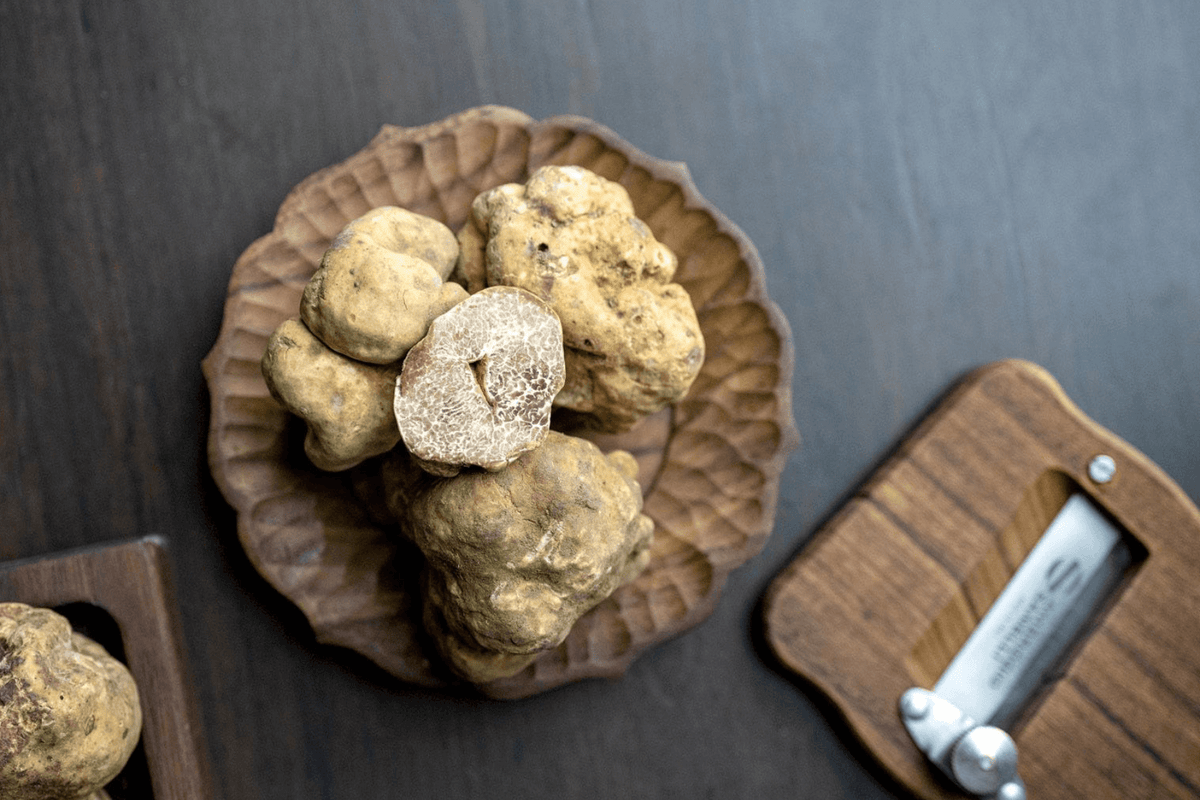Unearthing the Cognitive Elixir The Nootropic Properties of Truffles Truffle Kings
