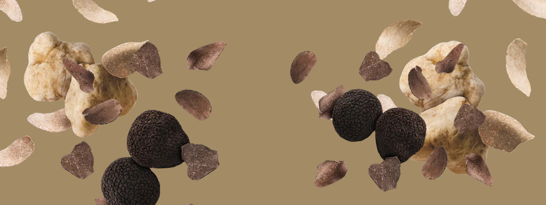 Wholesale - Fresh Truffles