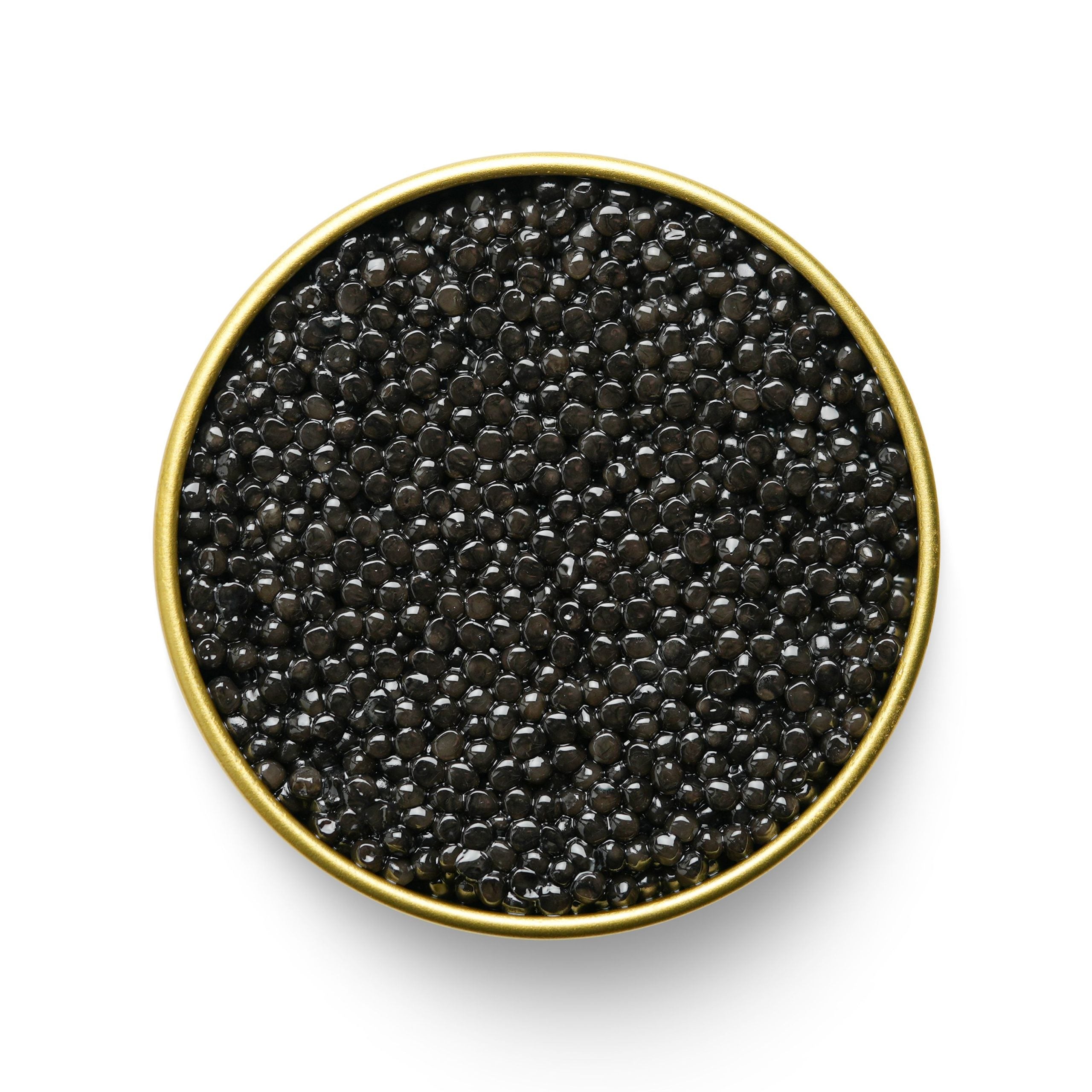 KALUGA CAVIAR