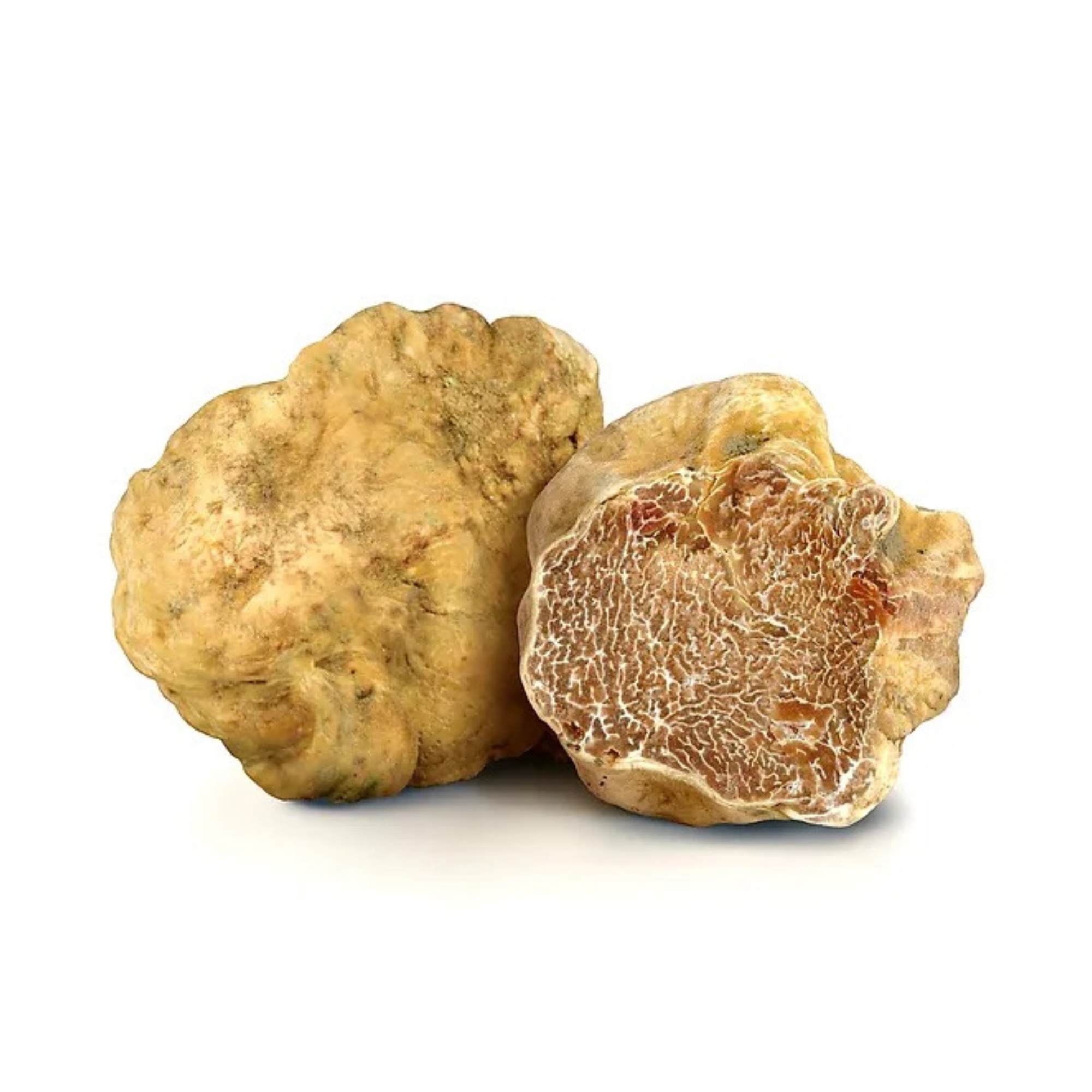 FRESH WHITE TRUFFLES