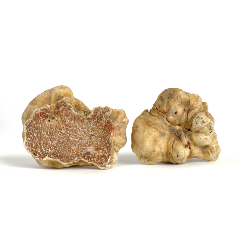 PRECIOUS WHITE TRUFFLE