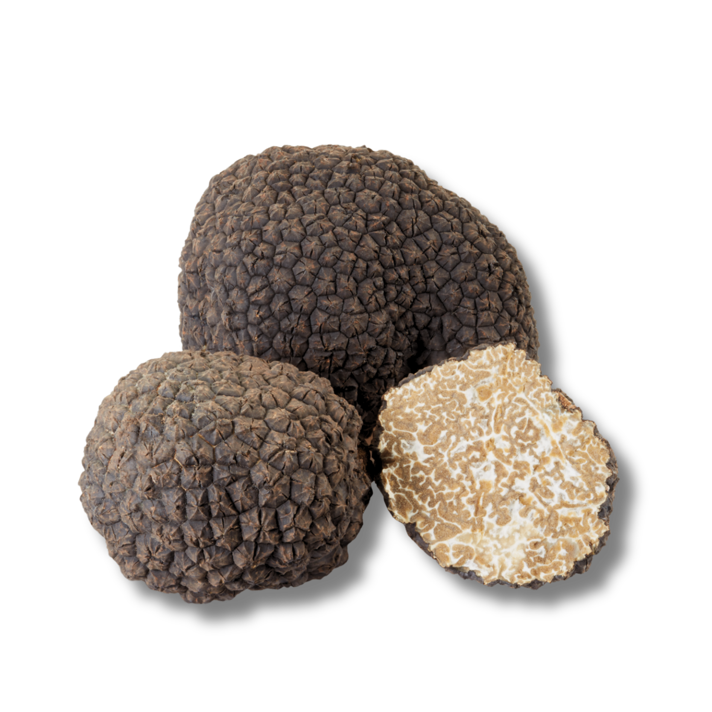BLACK SUMMER TRUFFLE (Tuber Aestivum)
