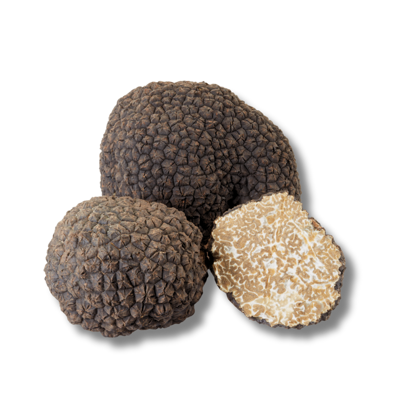 BLACK SUMMER TRUFFLE (Tuber Aestivum)