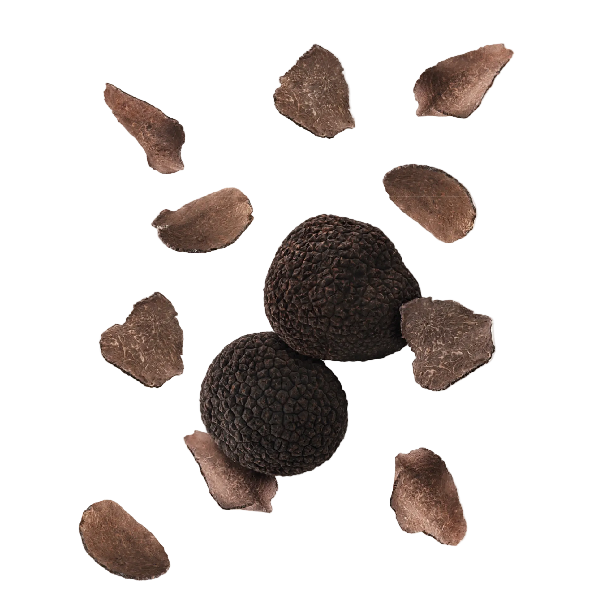 Several black truffles, both whole and cut into pieces, against a white background.