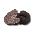 PRECIOUS BLACK TRUFFLE (TARTUFO NERO PREGIATO)