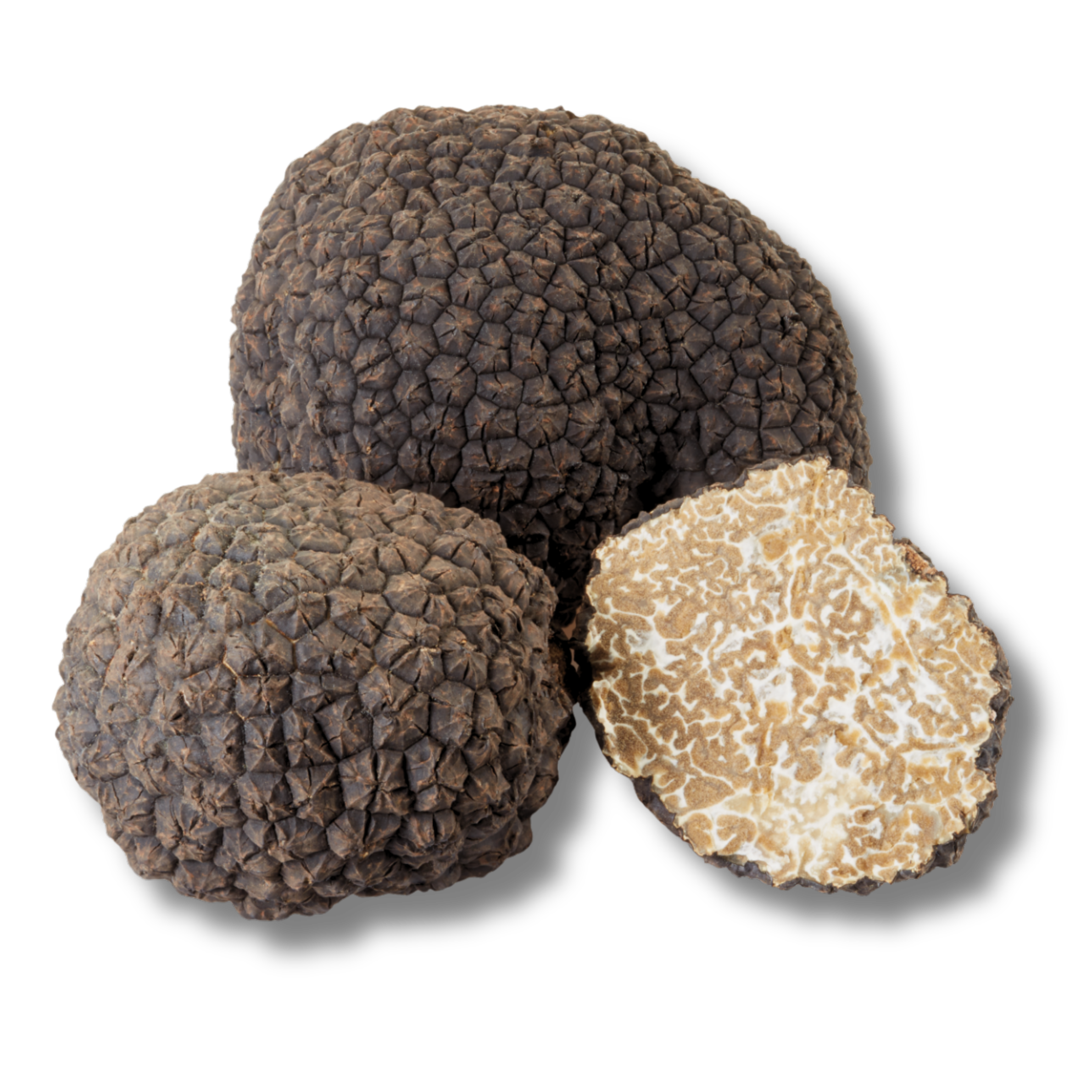 BLACK SUMMER TRUFFLE (Tuber Aestivum)